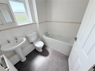 Picture 16